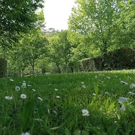 La Batisse Kamp alanı Réalmont
